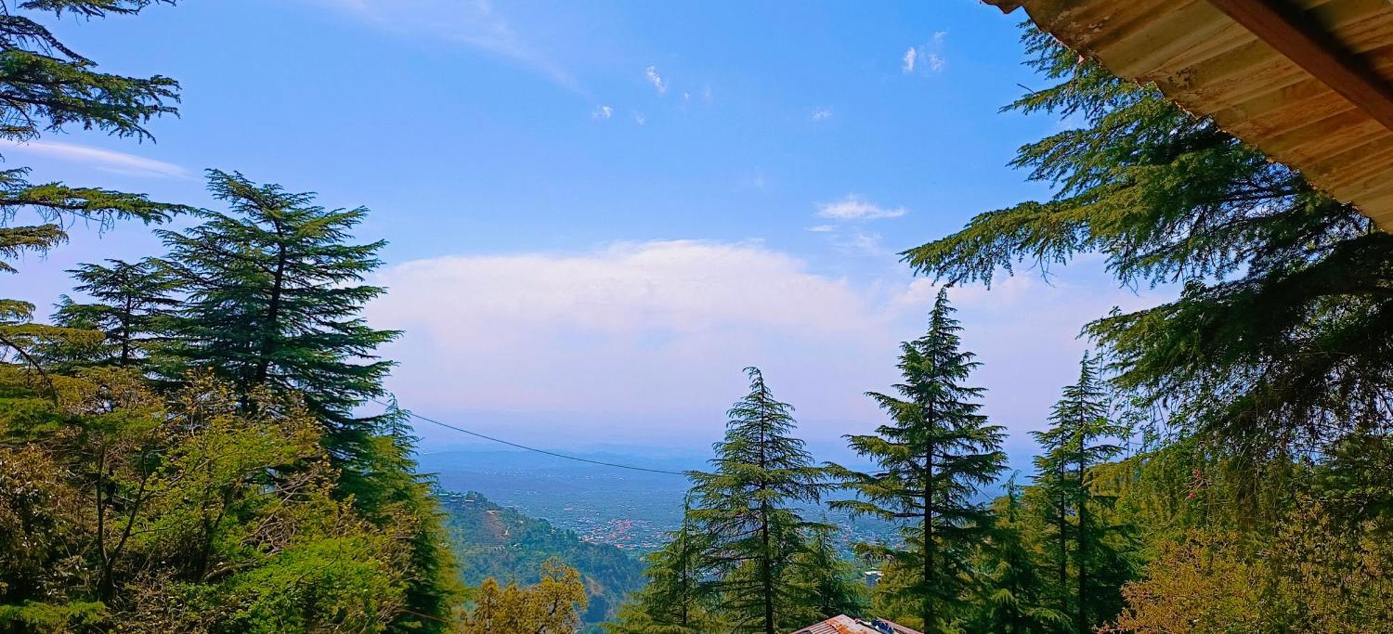 Mcleodganj Bed & Breakfast McLeod Gandzs Kültér fotó